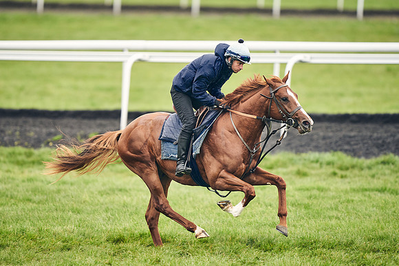 HORSES-IN-TRAINING-18TH-APR-DJ-1545