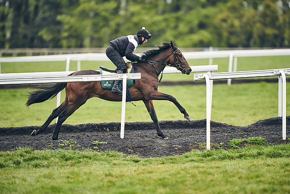 HORSES-IN-TRAINING-18TH-APR-DJ-1189