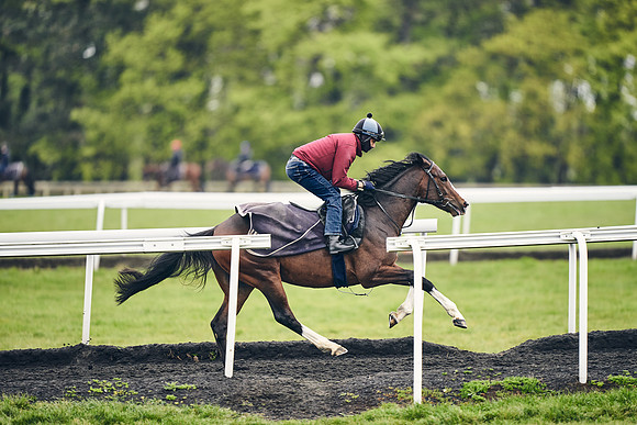 HORSES-IN-TRAINING-18TH-APR-DJ-1300