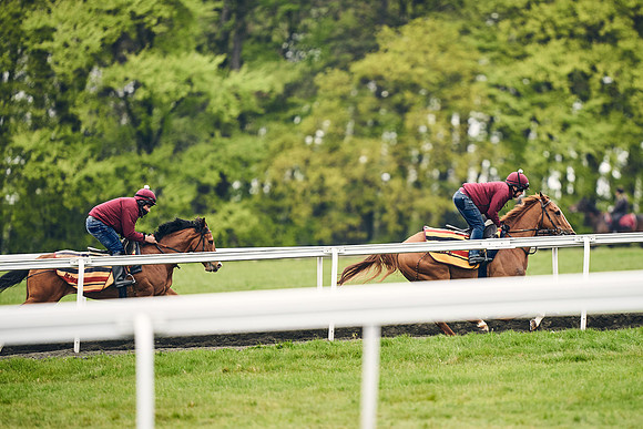 HORSES-IN-TRAINING-18TH-APR-DJ-2040