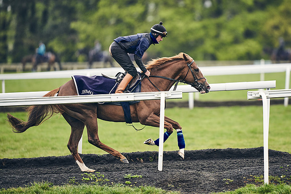 HORSES-IN-TRAINING-18TH-APR-DJ-1224