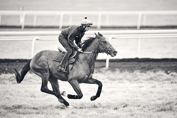 HORSES-IN-TRAINING-18TH-APR-DJ-1554