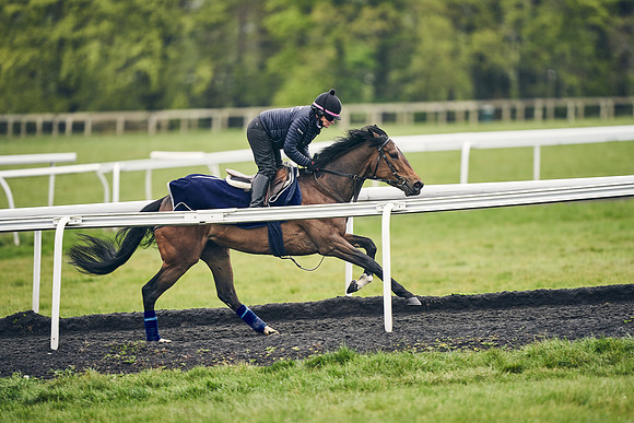 HORSES-IN-TRAINING-18TH-APR-DJ-1066
