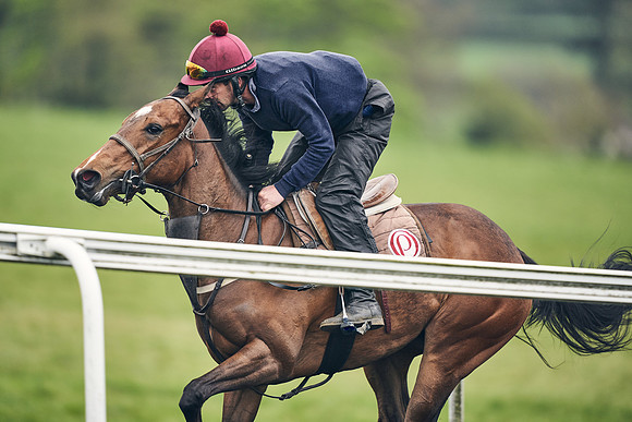 HORSES-IN-TRAINING-18TH-APR-DJ-2085