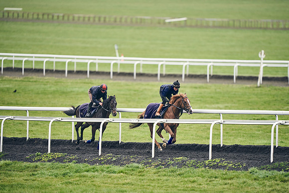 HORSES-IN-TRAINING-18TH-APR-DJ-1925