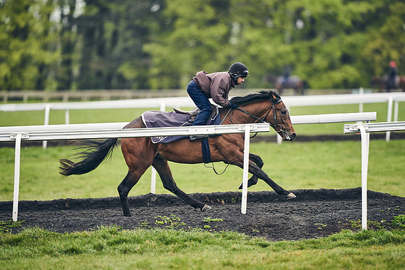 HORSES-IN-TRAINING-18TH-APR-DJ-1282