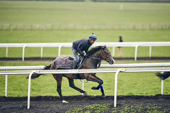 HORSES-IN-TRAINING-18TH-APR-DJ-1950