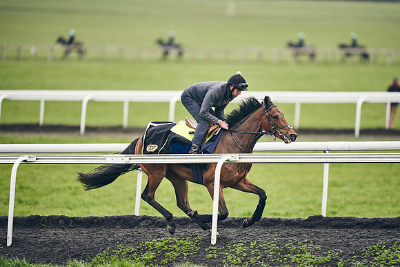 HORSES-IN-TRAINING-18TH-APR-DJ-1904