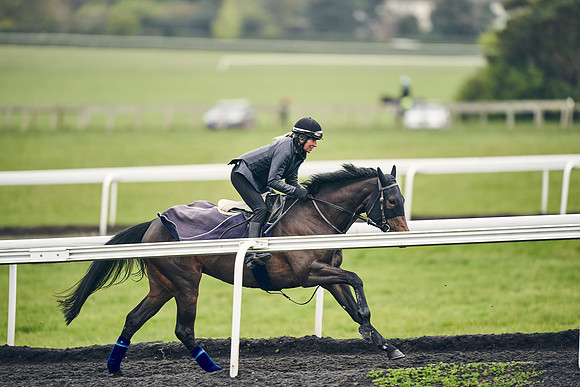HORSES-IN-TRAINING-18TH-APR-DJ-1823