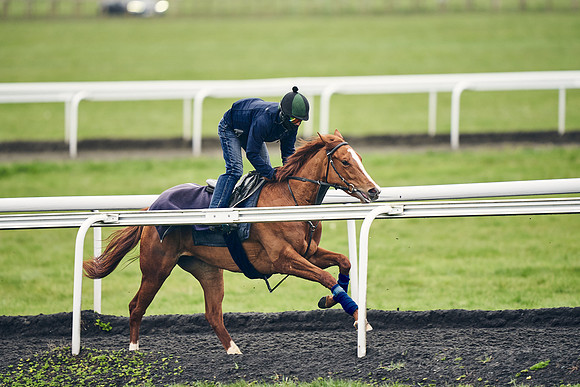 HORSES-IN-TRAINING-18TH-APR-DJ-2004