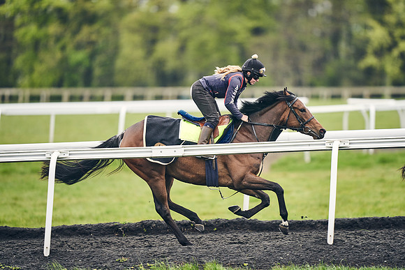 HORSES-IN-TRAINING-18TH-APR-DJ-1917