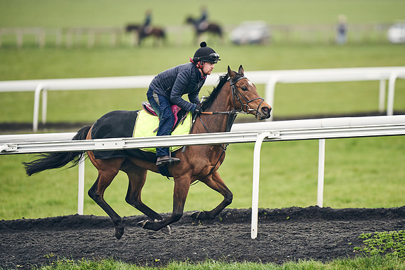 HORSES-IN-TRAINING-18TH-APR-DJ-1701