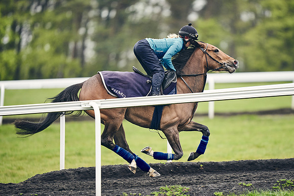HORSES-IN-TRAINING-18TH-APR-DJ-1747