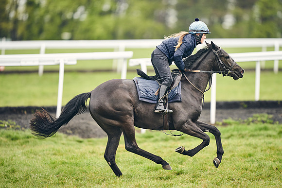 HORSES-IN-TRAINING-18TH-APR-DJ-1689