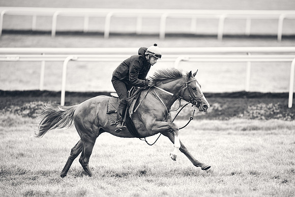 HORSES-IN-TRAINING-18TH-APR-DJ-1551