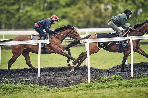 HORSES-IN-TRAINING-18TH-APR-DJ-1029