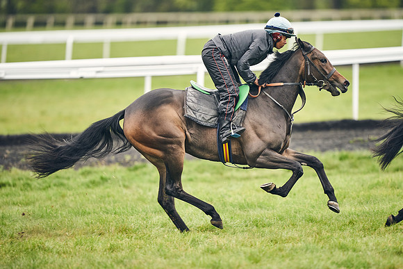 HORSES-IN-TRAINING-18TH-APR-DJ-1673