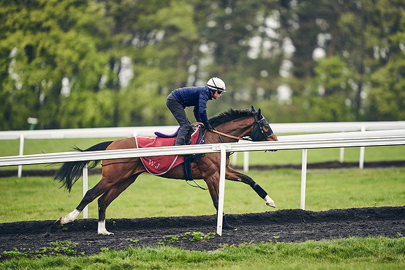 HORSES-IN-TRAINING-18TH-APR-DJ-1372
