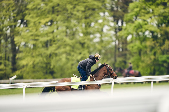 HORSES-IN-TRAINING-18TH-APR-DJ-2054
