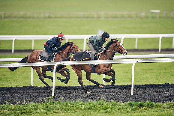 HORSES-IN-TRAINING-18TH-APR-DJ-1016