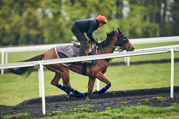 HORSES-IN-TRAINING-18TH-APR-DJ-1064