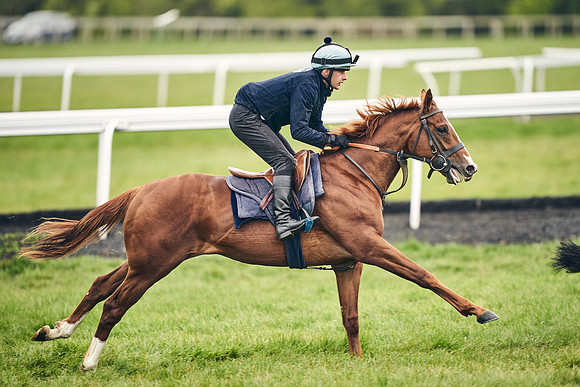 HORSES-IN-TRAINING-18TH-APR-DJ-1598