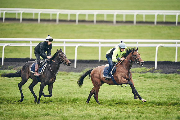 HORSES-IN-TRAINING-18TH-APR-DJ-1603