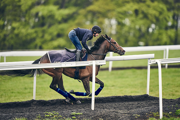 HORSES-IN-TRAINING-18TH-APR-DJ-1784