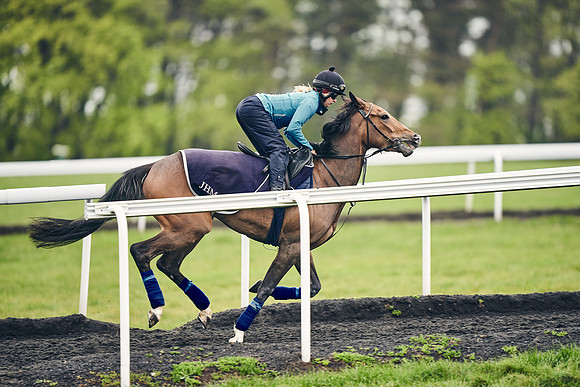HORSES-IN-TRAINING-18TH-APR-DJ-1746