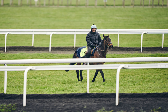 HORSES-IN-TRAINING-18TH-APR-DJ-1458
