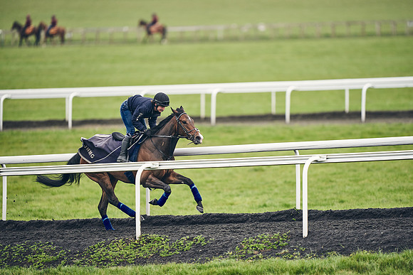 HORSES-IN-TRAINING-18TH-APR-DJ-1770