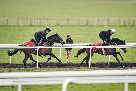 HORSES-IN-TRAINING-18TH-APR-DJ-1962