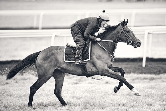 HORSES-IN-TRAINING-18TH-APR-DJ-1648