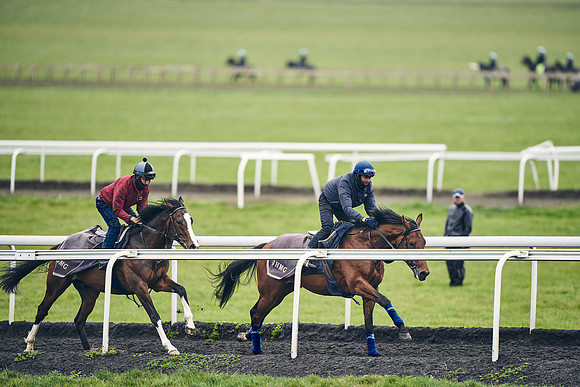 HORSES-IN-TRAINING-18TH-APR-DJ-1968