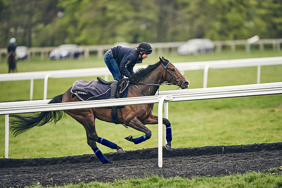 HORSES-IN-TRAINING-18TH-APR-DJ-1781