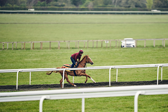 HORSES-IN-TRAINING-18TH-APR-DJ-1509