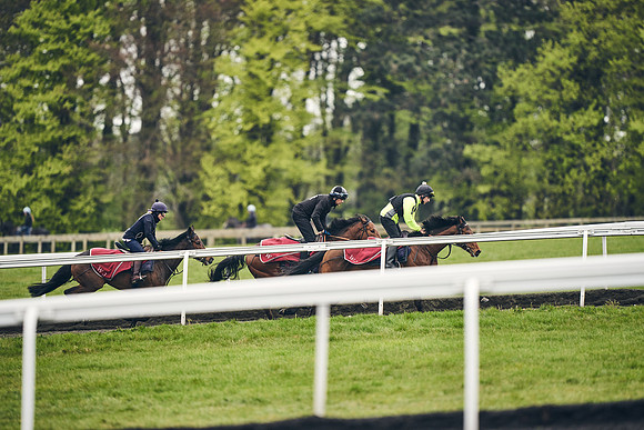 HORSES-IN-TRAINING-18TH-APR-DJ-1889