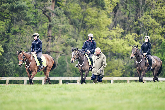 HORSES-IN-TRAINING-18TH-APR-DJ-2094