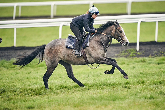 HORSES-IN-TRAINING-18TH-APR-DJ-1667