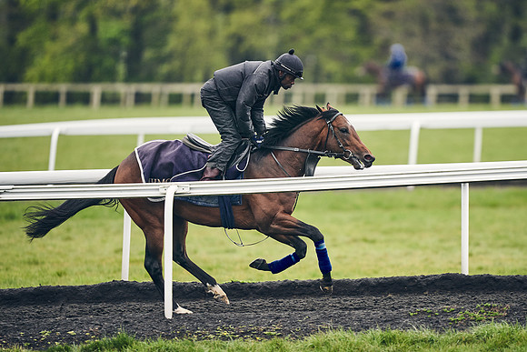 HORSES-IN-TRAINING-18TH-APR-DJ-1254