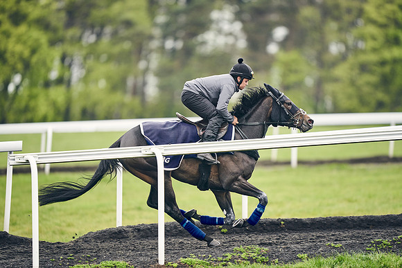 HORSES-IN-TRAINING-18TH-APR-DJ-1754