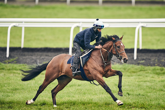 HORSES-IN-TRAINING-18TH-APR-DJ-1587