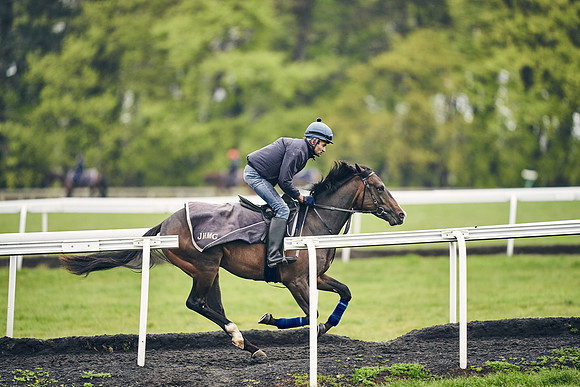 HORSES-IN-TRAINING-18TH-APR-DJ-1291