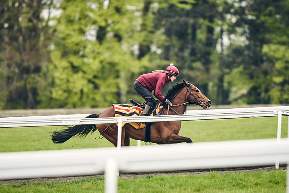 HORSES-IN-TRAINING-18TH-APR-DJ-2037