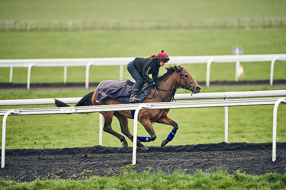HORSES-IN-TRAINING-18TH-APR-DJ-1864