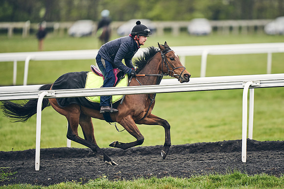 HORSES-IN-TRAINING-18TH-APR-DJ-1703