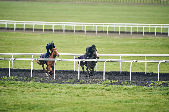 HORSES-IN-TRAINING-18TH-APR-DJ-1993