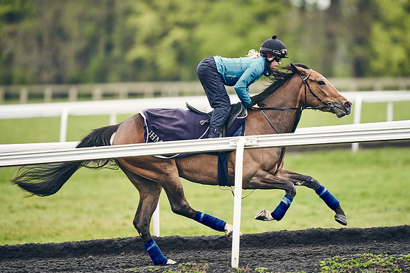 HORSES-IN-TRAINING-18TH-APR-DJ-1737