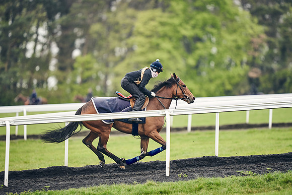 HORSES-IN-TRAINING-18TH-APR-DJ-1451