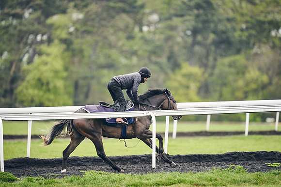 HORSES-IN-TRAINING-18TH-APR-DJ-1345